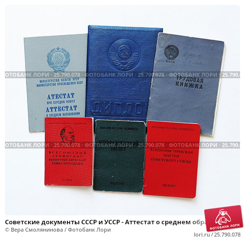 Купить диплом СГЭИ как выбрать качественный и легальный вариант Купить диплом СГЭИ как выбрать качественный и легальный вариант