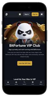 Complete Guide to Bitfortune Mobile Casino Cashier