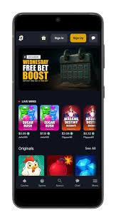 Complete Guide to Bitfortune Mobile Casino Cashier